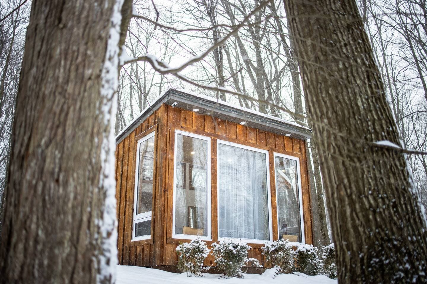 Adler Cabin photo
