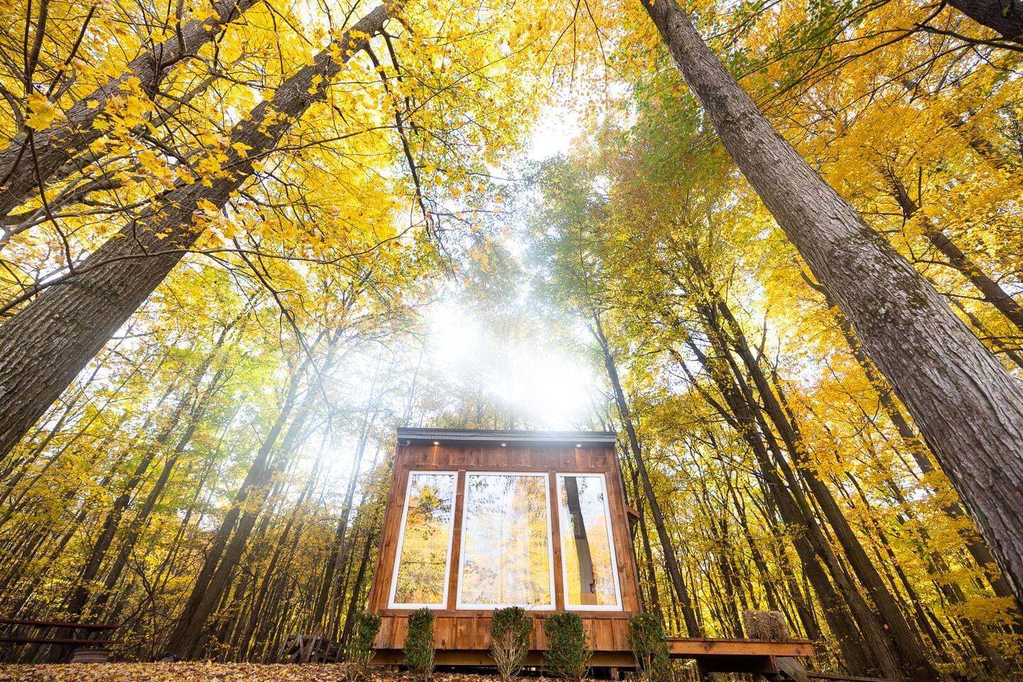 Fernwood Hills accommodations