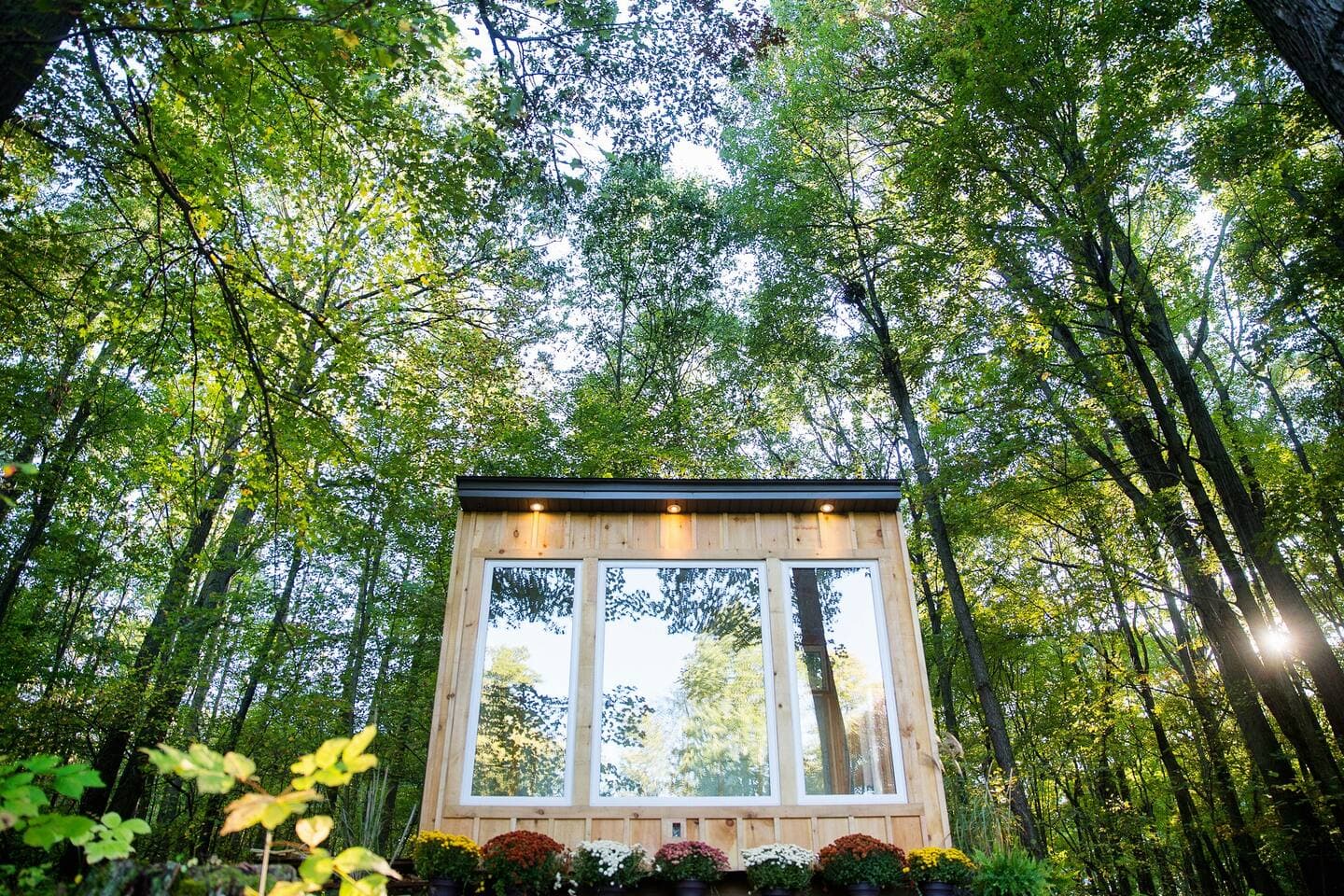 Surrounded by trees but not in the "dense" forest.  It overlooks green space.  There are trails nearby.  Parking is right at the cabin.
It is rustic, (not a hotel), but cozy.  No air conditioning, but cool enough from the fan and trees.