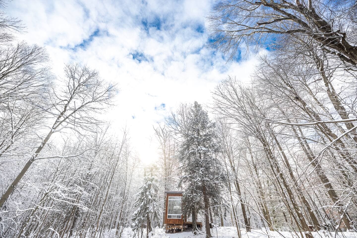 Bracken Cabin photo