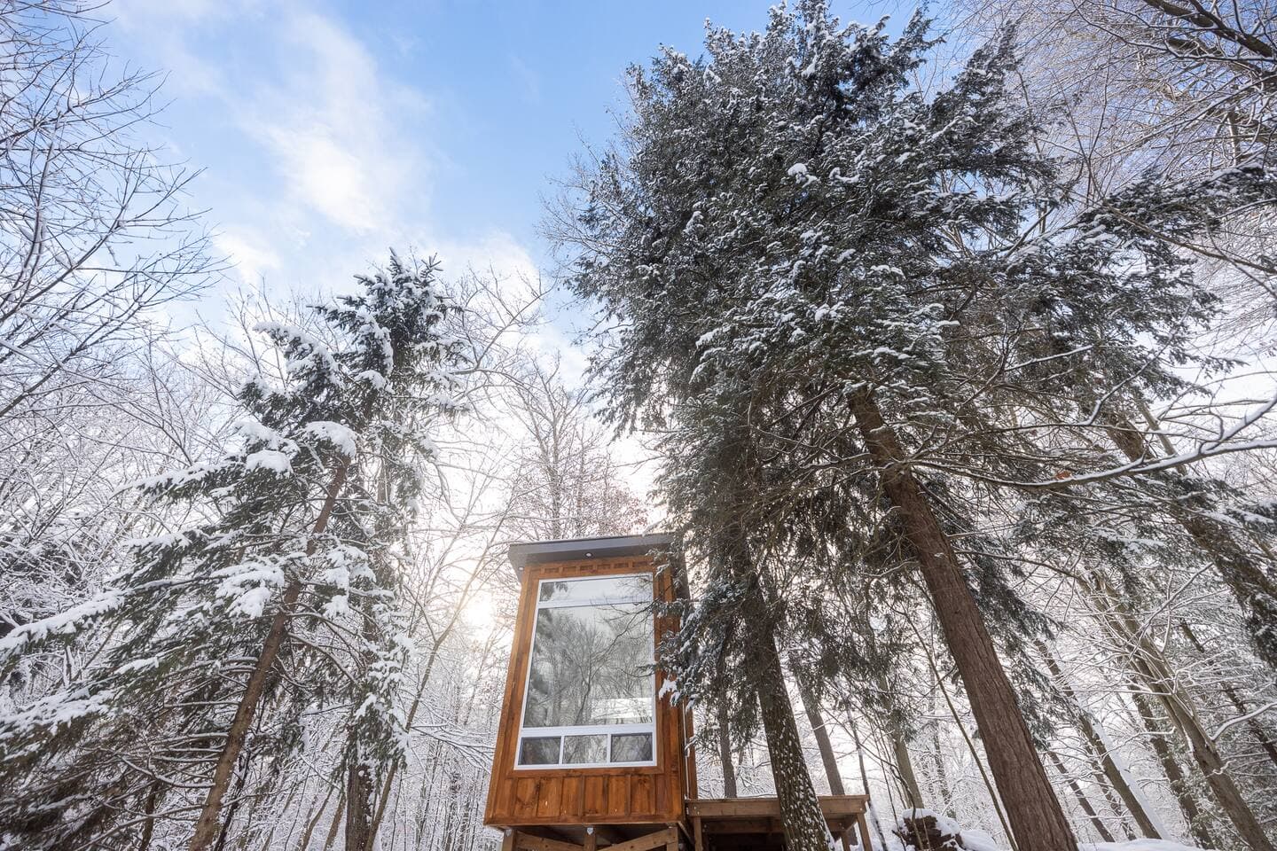 Bracken Cabin photo